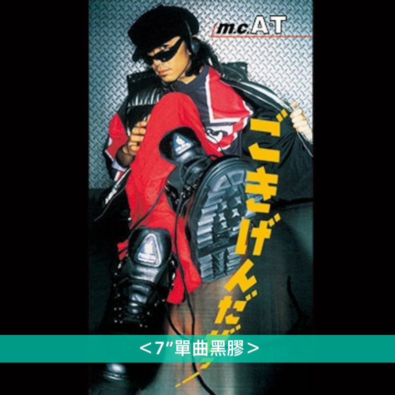 Avex黑膠再版企劃「avex Hits on ViNYL」系列 - 相川七瀬/倖田來未/鈴木亜美/hitomi/TRF/globe/Folder5/Piko太郎/H Jungle With t/m.c.A・T<7"單曲黑膠>、VOCALAND<12”黑膠(2LP)>