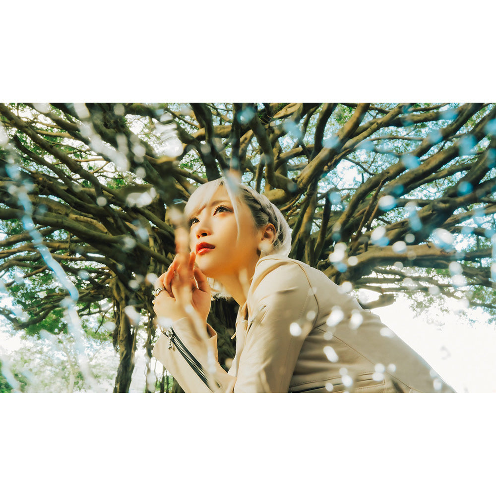 ReoNa 第9張單曲CD《ガジュマル ~Heaven in the Rain~》動畫「香格里拉・開拓異境」第2季片尾曲 <初回生産限定盤(CD+DVD+Photo Book)/通常盤(CD)/期間生産限定盤(CD+DVD)>