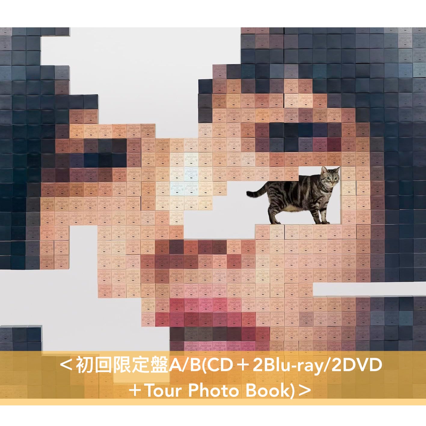 愛繆Aimyon 第5張原創專輯《猫にジェラシー》<初回限定盤A/B(CD+2Blu-ray/2DVD+Tour Photo Book)/通常盤(CD)>