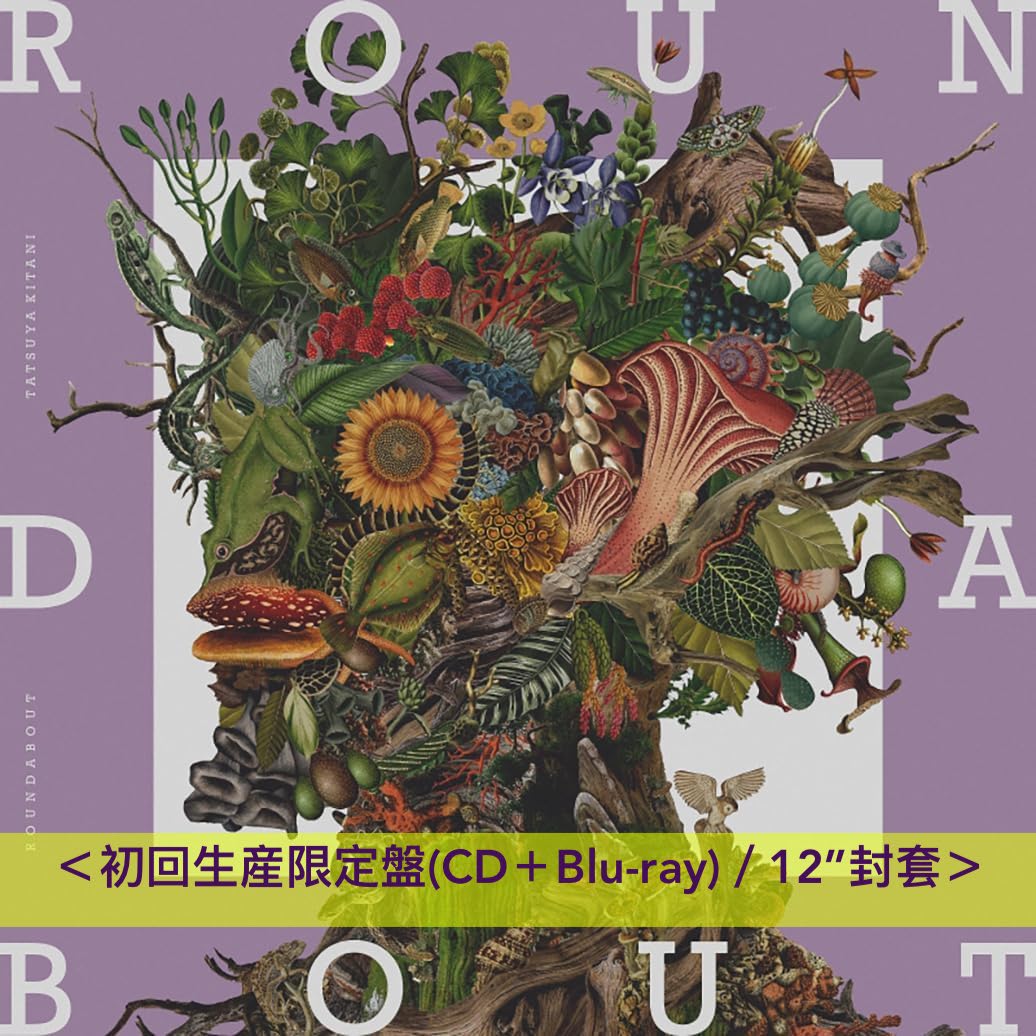 Tatsuya Kitani 第5張原創專輯《ROUNDABOUT》<初回生産限定盤(CD+Blu-ray)/通常盤(CD)> 收錄『呪術廻戦』「懐玉・玉折」、「BLEACH死神 - 千年血戦篇」片頭曲