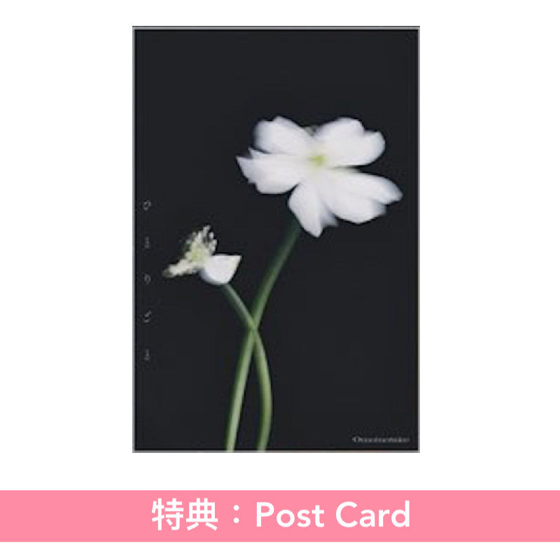 Omoinotake 單曲CD 《ひとりごと》動畫「藥師少女的獨語」第2季片尾曲 <初回生産限定盤(CD+Blu-ray)/通常盤(CD)/期間生産限定盤(CD+Blu-ray+動畫插圖海報型歌詞卡)>