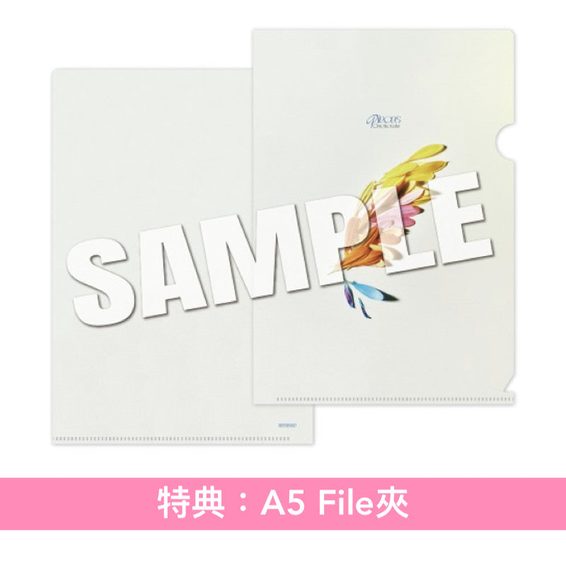 Omoinotake 第2張主要專輯《Pieces》<初回生産限定盤(CD+Blu-ray)/通常盤(CD)>