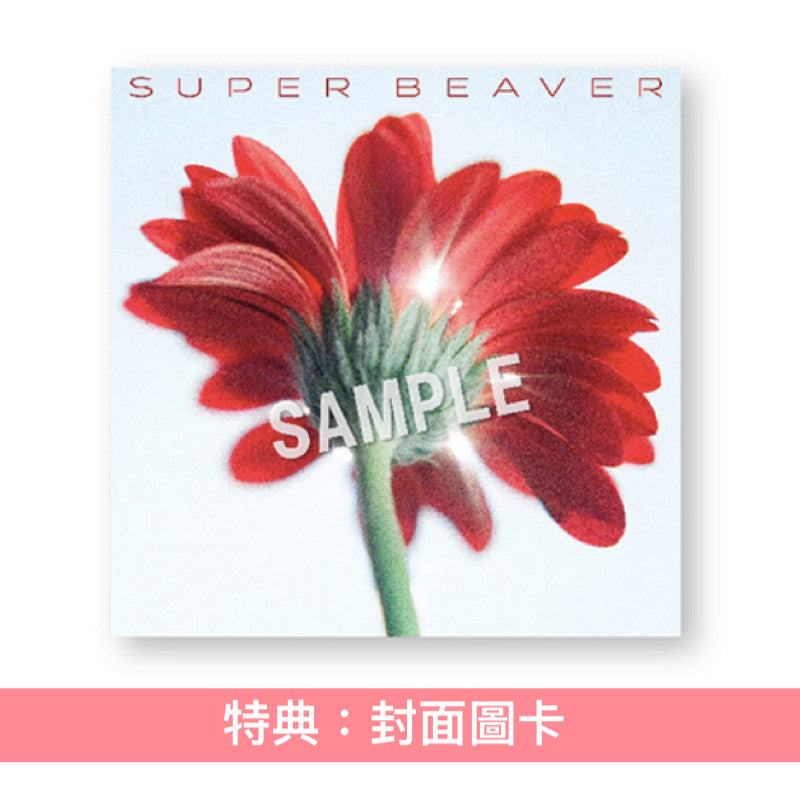 SUPER BEAVER 單曲CD《片想い / 涙の正体》日劇「香草日常」主題曲 <初回生産限定盤(CD+Blu-ray/DVD)/通常盤(CD)>