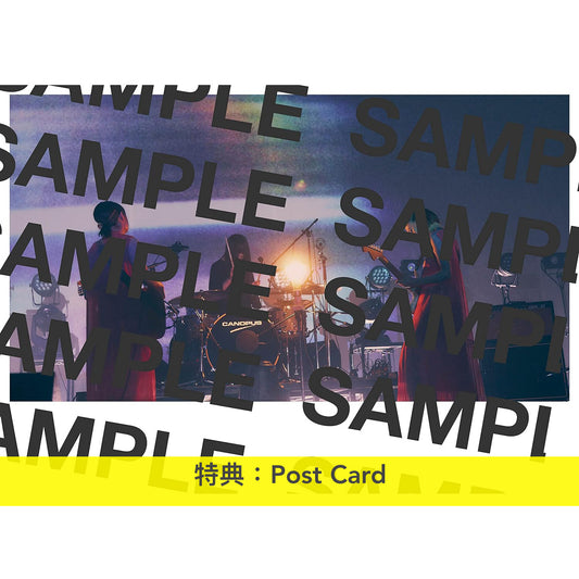 羊文学 樂團樂譜《our hope》 包括專輯所有曲目/18.2x25.7cm/136頁