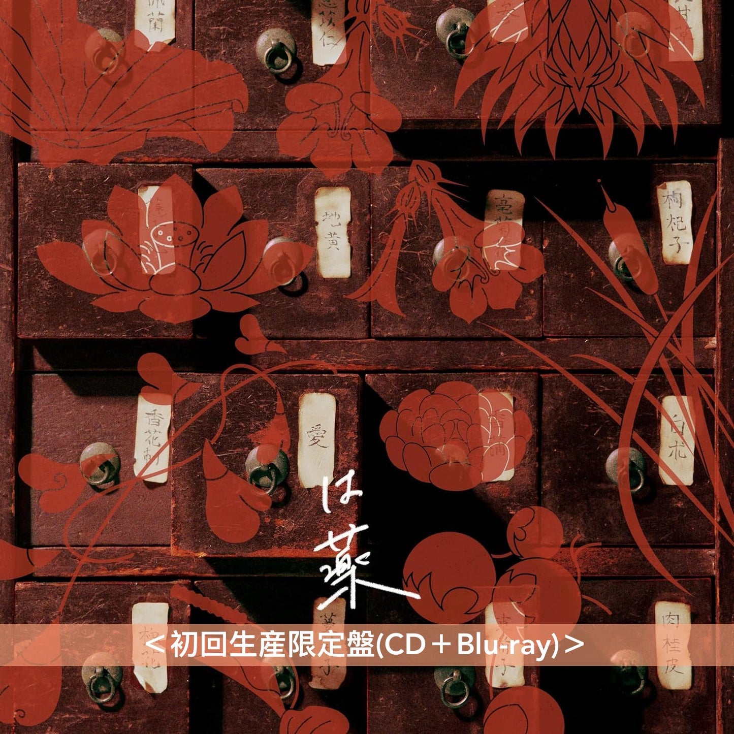 wacci 第12張單曲CD《愛は薬》動畫「藥師少女的獨語」第2季片尾曲 <初回生産限定盤(CD+Blu-ray)/通常盤(CD)/期間生産限定盤(CD+Blu-ray)>