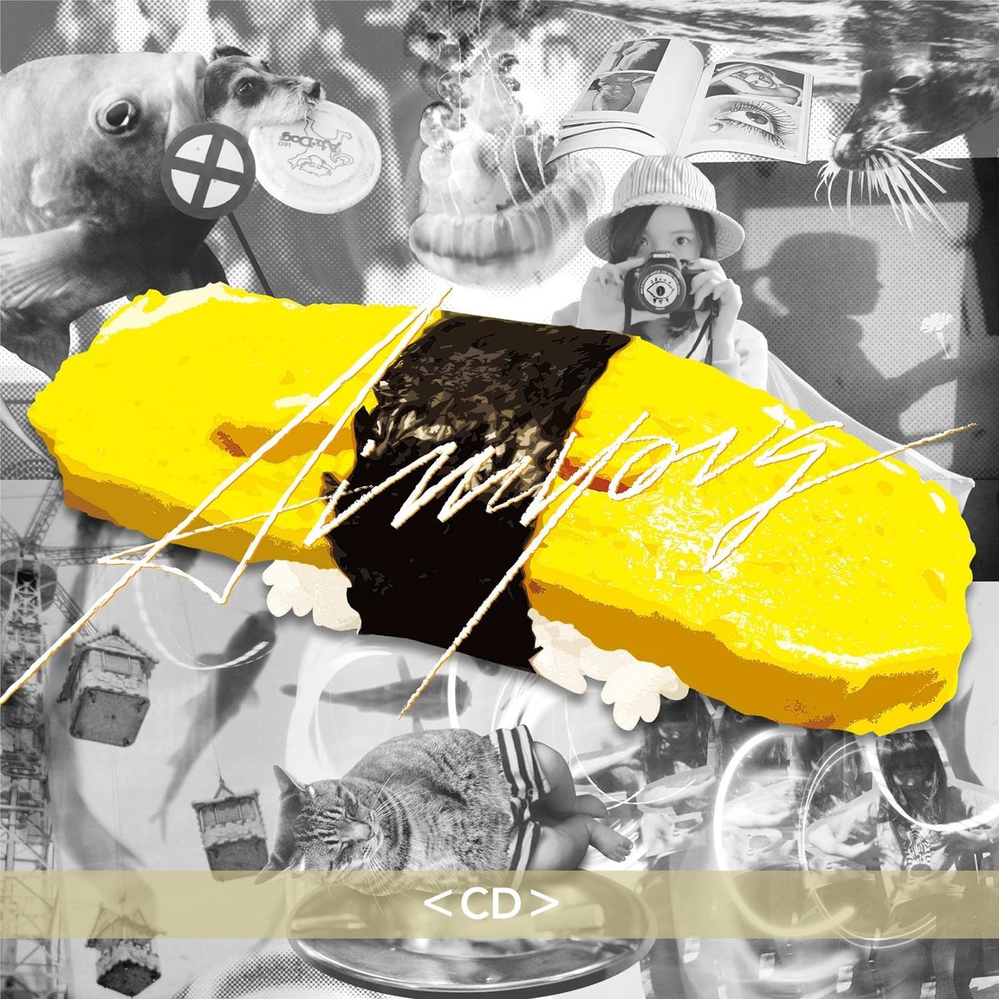愛繆Aimyon 第1~2張迷你專輯《tamago》、《憎まれっ子世に憚る》/第1~4張原創專輯《青春のエキサイトメント》、《瞬間的シックスセンス》、《おいしいパスタがあると聞いて》、《瞳へ落ちるよレコード》