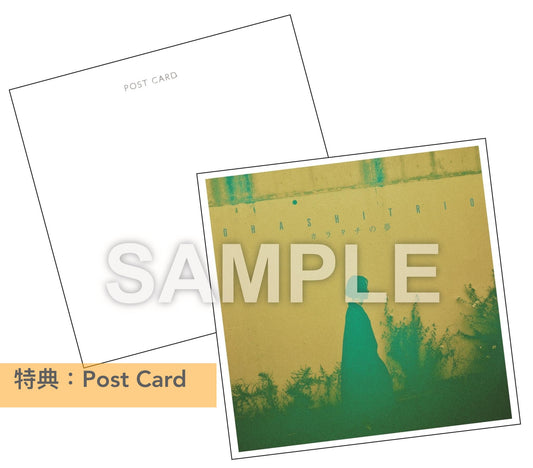 大橋三重唱 EP《カラタチの夢》<初回生産限定盤(CD+Blu-ray)/通常盤(CD)>