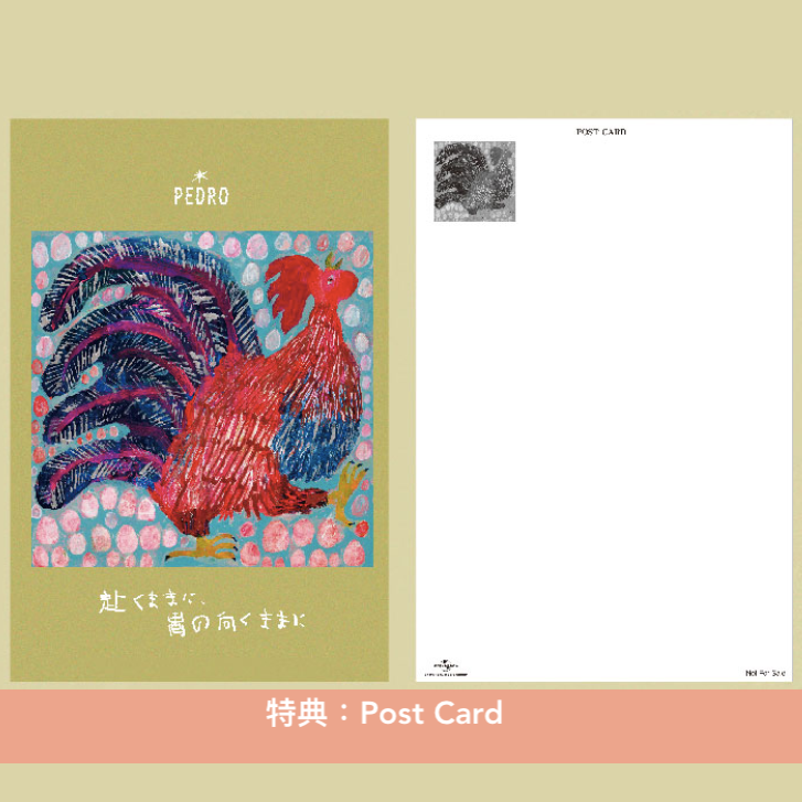 PEDRO 第5張原創專輯《赴くままに、胃の向くままに》<初回生産限定盤(2CD+Blu-ray+Live Photobook)/通常盤A(CD+DVD)/通常盤B(CD)>