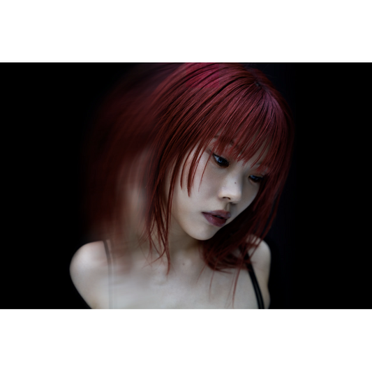 AiNA THE END 首次日本武道館Live Blu-ray/DVD《AiNA THE END ”ENDROLL”》<初回生産限定盤(2Blu-ray+Photo Book)/通常盤(DVD)>