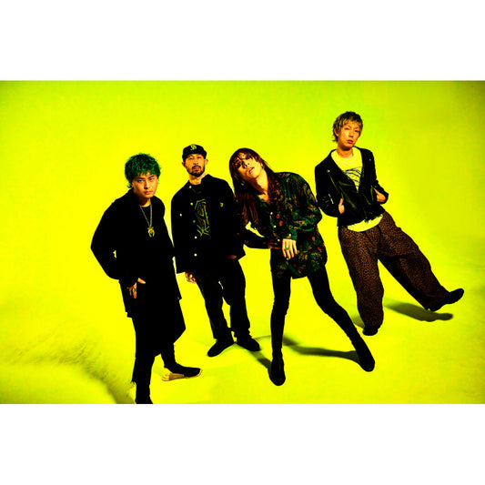 SUPER BEAVER 單曲CD《片想い / 涙の正体》日劇「香草日常」主題曲 <初回生産限定盤(CD+Blu-ray/DVD)/通常盤(CD)>