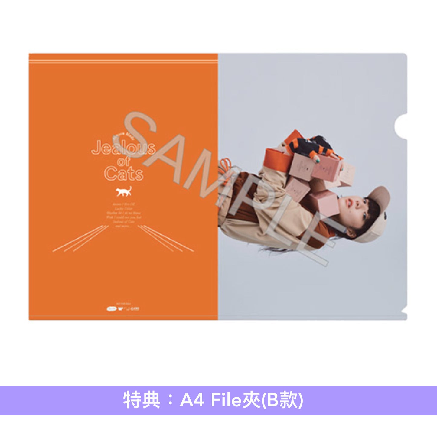 愛繆Aimyon 第5張原創專輯《猫にジェラシー》<初回限定盤A/B(CD+2Blu-ray/2DVD+Tour Photo Book)/通常盤(CD)>