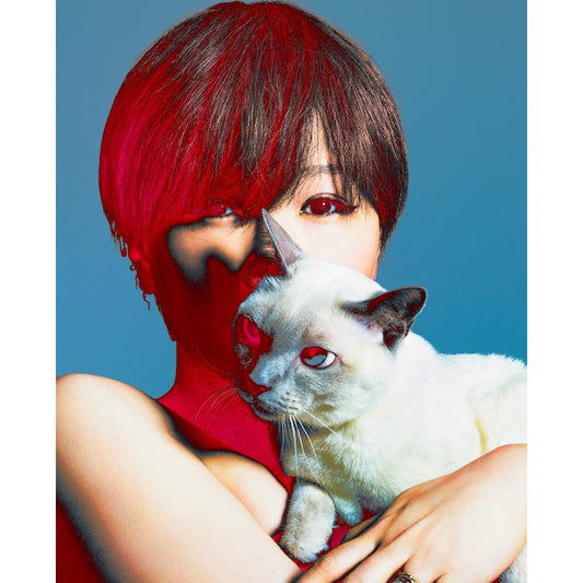 椎名林檎 第7張原創專輯《放生会》CD/黑膠 <初回限定盤(CD+精裝書)/通常盤(CD)/黑膠盤(2LP)>