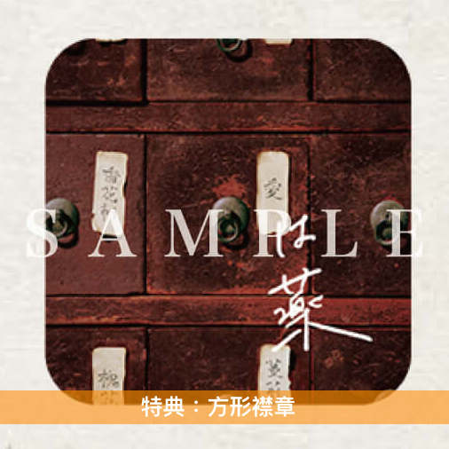 wacci 第12張單曲CD《愛は薬》動畫「藥師少女的獨語」第2季片尾曲 <初回生産限定盤(CD+Blu-ray)/通常盤(CD)/期間生産限定盤(CD+Blu-ray)>