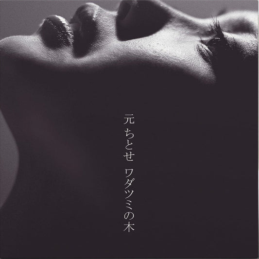 元千歲 紀念出道20周年 12寸透明黑膠《ワダツミの木》(第二版) 完全生産限定盤