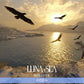 LUNA SEA 最新單曲CD《FOREVER》＜CD＞