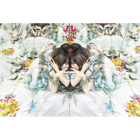 Aimer / LiSA 單曲黑膠《太陽が昇らない世界/残酷な夜に輝け》動畫「鬼滅之刃」劇場版『無限城編 第一章 猗窩座再来』雙主題曲 ＜黑膠盤(LP)＞