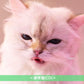 My Hair is Bad 第7張原創專輯《cats》＜初回限定盤(CD＋Photo Book)／通常盤(CD)＞