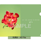 愛繆 Aimyon 第14張單曲CD《愛の花》