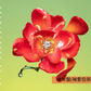 愛繆 Aimyon 第14張單曲CD《愛の花》