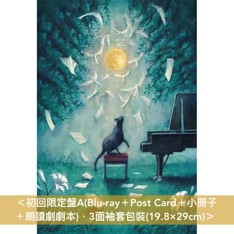 ヨルシカ(Yorushika) Live Blu-ray/DVD《ヨルシカ LIVE「月と猫のダンス」》＜初回限定盤(Blu-ray/DVD＋Post Card＋小冊子＋朗讀劇劇本)／通常盤(Blu-ray/DVD＋Post Card)＞＊中英日韓文字幕＊