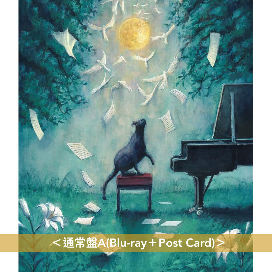 ヨルシカ(Yorushika) Live Blu-ray/DVD《ヨルシカ LIVE「月と猫のダンス」》＜初回限定盤(Blu-ray/DVD＋Post Card＋小冊子＋朗讀劇劇本)／通常盤(Blu-ray/DVD＋Post Card)＞＊中英日韓文字幕＊