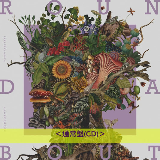 Tatsuya Kitani 第5張原創專輯《ROUNDABOUT》＜初回生産限定盤(CD＋Blu-ray)／通常盤(CD)＞ 收錄『呪術廻戦』「懐玉・玉折」、「BLEACH死神 - 千年血戦篇」片頭曲