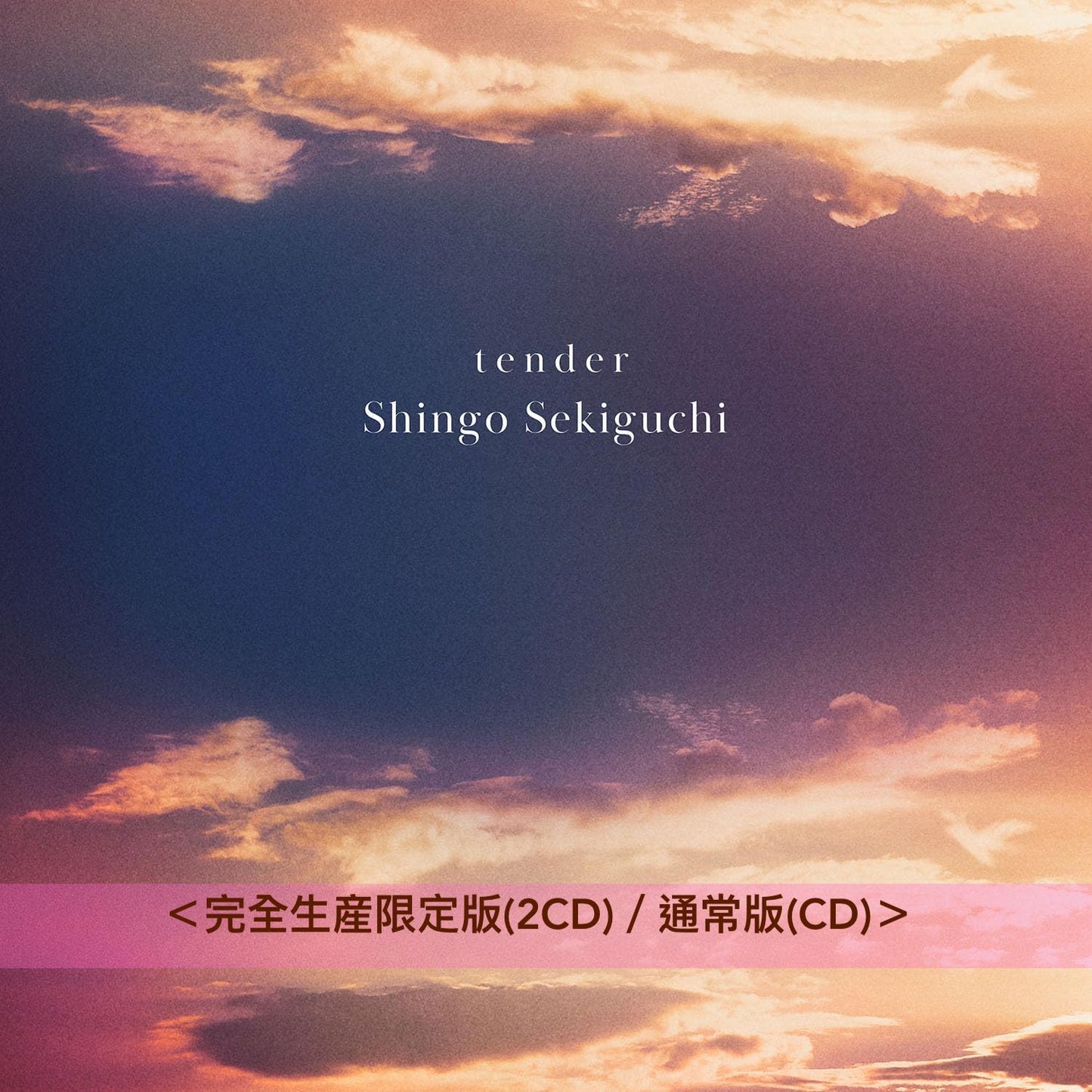 関口Shingo 第2張純音樂專輯《tender》＜完全生産限定版(2CD)／通常版(CD)／生産限定盤(LP)＞ Lo-Fi Hip Hop/Chill Beat音樂風結他作品