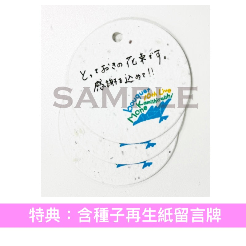 上白石萌音 最新原創專輯《bouquet》 ＜初回限定盤(2CD＋Booklet)／通常盤(CD)＞