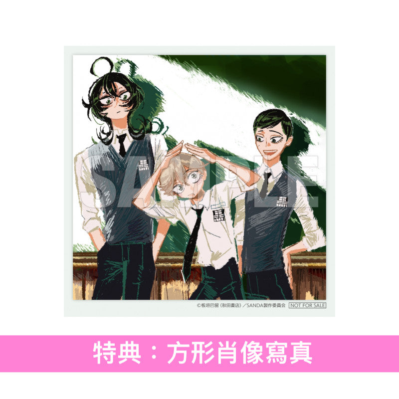 崎山蒼志 單曲CD《ダイアリー》動畫「SANDA」片尾曲 ＜完全生産限定盤(CD)・7”封套包裝＞