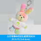Mrs. GREEN APPLE 第6張原創專輯《(碟名未定)》＜初回生産限定BOX(CD＋Blu-ray/DVD＋亞加力膠板Set＋酒吧鏡＋公仔掛飾)／初回生産限定盤(CD＋Blu-ray/DVD)／通常盤(CD)＞