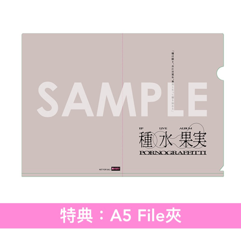 ポルノグラフィティ(PORNOGRAFFITTI) 第13張原創專輯《果実》＜完全生産限定盤(CD＋Blu-ray/2DVD＋Photo Booklet＋貼紙)／通常盤(CD)＞、Live Blu-ray/DVD《20thライヴサーキット“水”Live at SGC HALL ARIAKE 2026》＜Blu-ray/2DVD＞
