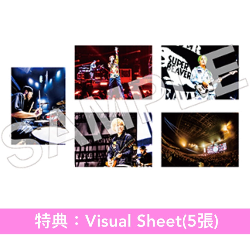 SUPER BEAVER 電影 Blu-ray/DVD《SUPER BEAVER LIVE & DOCUMENTARY -現在地-》＜初回生産限定盤(Blu-ray/2DVD＋Live Photo Book)／通常盤(Blu-ray/DVD)＞