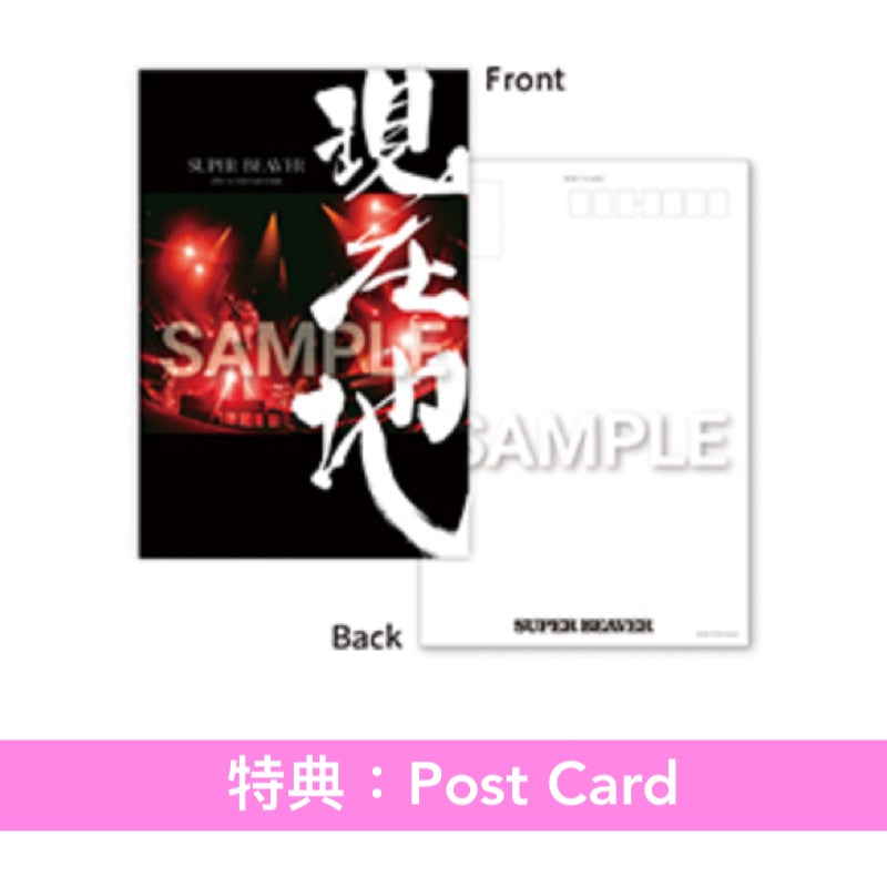 SUPER BEAVER 電影 Blu-ray/DVD《SUPER BEAVER LIVE & DOCUMENTARY -現在地-》＜初回生産限定盤(Blu-ray/2DVD＋Live Photo Book)／通常盤(Blu-ray/DVD)＞