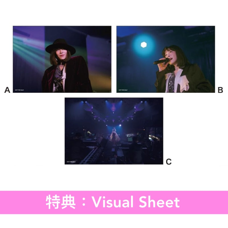 中森明菜 Live Blu-ray/DVD《LIVE FILM「AKINA NAKAMORI DINNER SHOW 2025」》＜完全生産限定BOX(Blu-ray＋CD＋亞加力膠磚)／通常盤(Blu-ray/DVD)＞