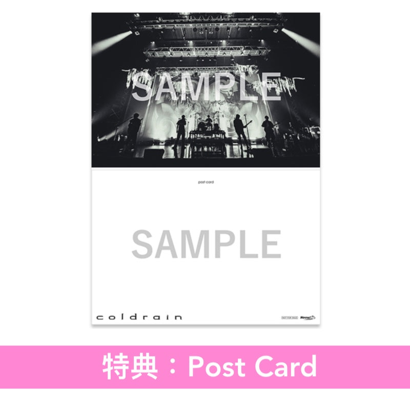 coldrain 第8張原創專輯《OPTIMIZE = OPTDEMISE》＜初回生産限定盤(CD＋Blu-ray/DVD)／通常盤(CD)／黑膠盤(LP彩膠)＞