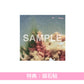 シャイトープ(shytaupe) 單曲CD《It's myself》動畫「WIND BREAKER Season2」片尾曲 ＜通常盤(CD)／期間生産限定盤(CD＋Blu-ray)＞