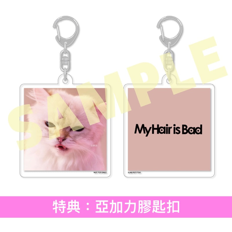 My Hair is Bad 第7張原創專輯《cats》＜初回限定盤(CD＋Photo Book)／通常盤(CD)＞