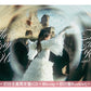 milet 最新EP《The Story of Us》動畫「葬送的芙莉蓮」第2季片尾曲 ＜初回生産限定盤(CD＋Blu-ray＋Booklet)／通常盤(CD＋Booklet)／期間生産限定盤(CD＋Blu-ray＋貼紙Set＋Booklet)＞