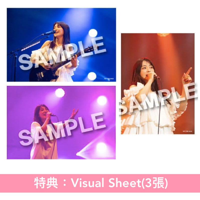 miwa出道15周年 Live Blu-ray/DVD《miwa 15th anniversary 再現ライブツアー"guitarissimo"》 ＜Blu-ray/DVD＋Live CD＞