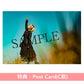 ReoNa 第12張單曲CD《Amore》動畫「與妳相戀到生命盡頭」片頭曲 ＜初回生産限定盤(CD＋Blu-ray)／通常盤(CD)／期間生産限定盤(CD＋Blu-ray＋迷你海報)＞