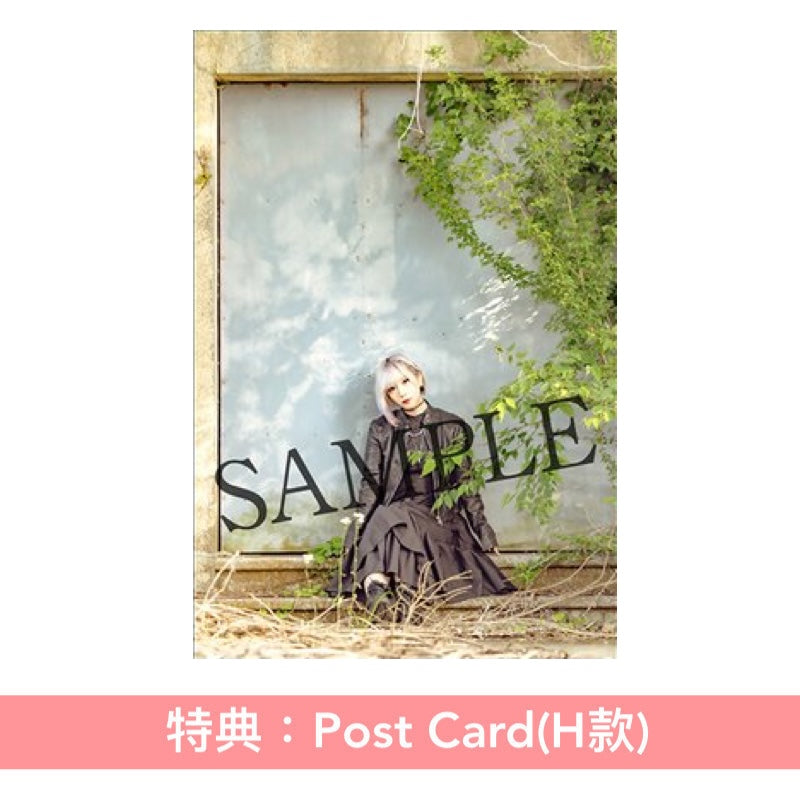 ReoNa 第12張單曲CD《Amore》動畫「與妳相戀到生命盡頭」片頭曲 ＜初回生産限定盤(CD＋Blu-ray)／通常盤(CD)／期間生産限定盤(CD＋Blu-ray＋迷你海報)＞