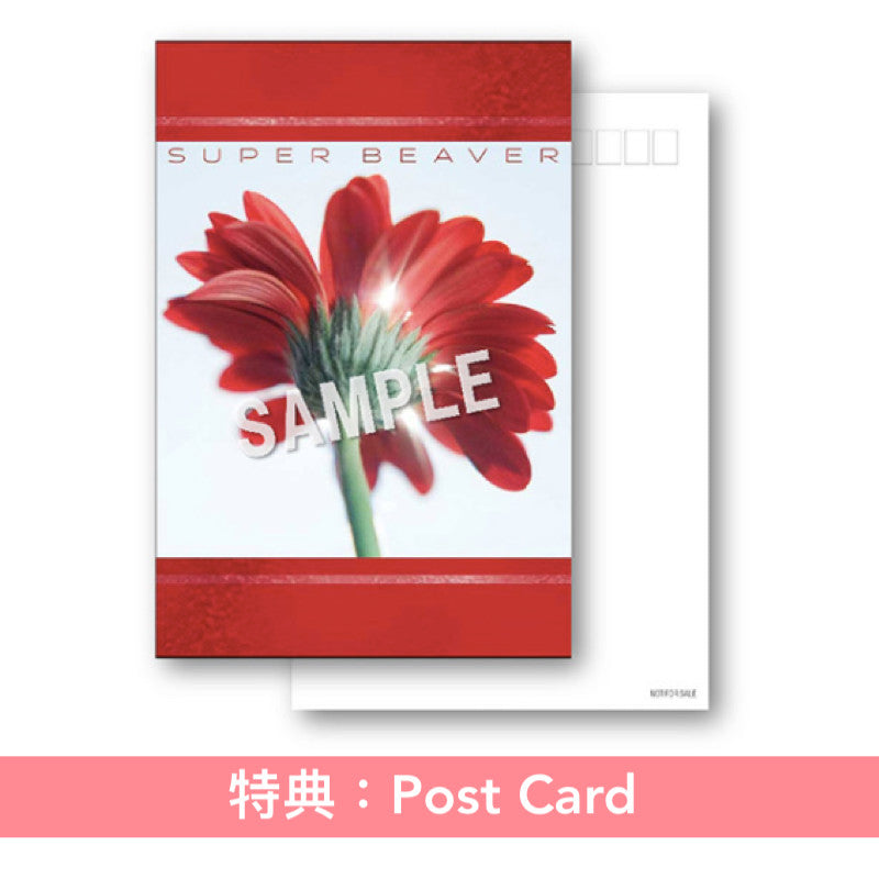 SUPER BEAVER 最新單曲CD《片想い / 涙の正体》日劇「香草日常」主題曲 ＜初回生産限定盤(CD＋Blu-ray/DVD)／通常盤(CD)＞