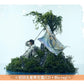 Tani Yuuki 第3張原創專輯《航海士》＜初回生産限定盤(CD＋Blu-ray)／通常盤(CD)＞