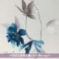 【1/11前＋早鳥特典】Uru 第18張單曲CD《それなのに》 日劇「兄妹」主題曲 ＜初回生産限定盤(CD＋Blu-ray)／通常盤(CD)＞