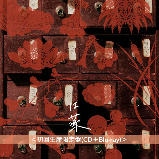 wacci 第12張單曲CD《愛は薬》動畫「藥師少女的獨語」第2季片尾曲 ＜初回生産限定盤(CD＋Blu-ray)／通常盤(CD)／期間生産限定盤(CD＋Blu-ray)＞