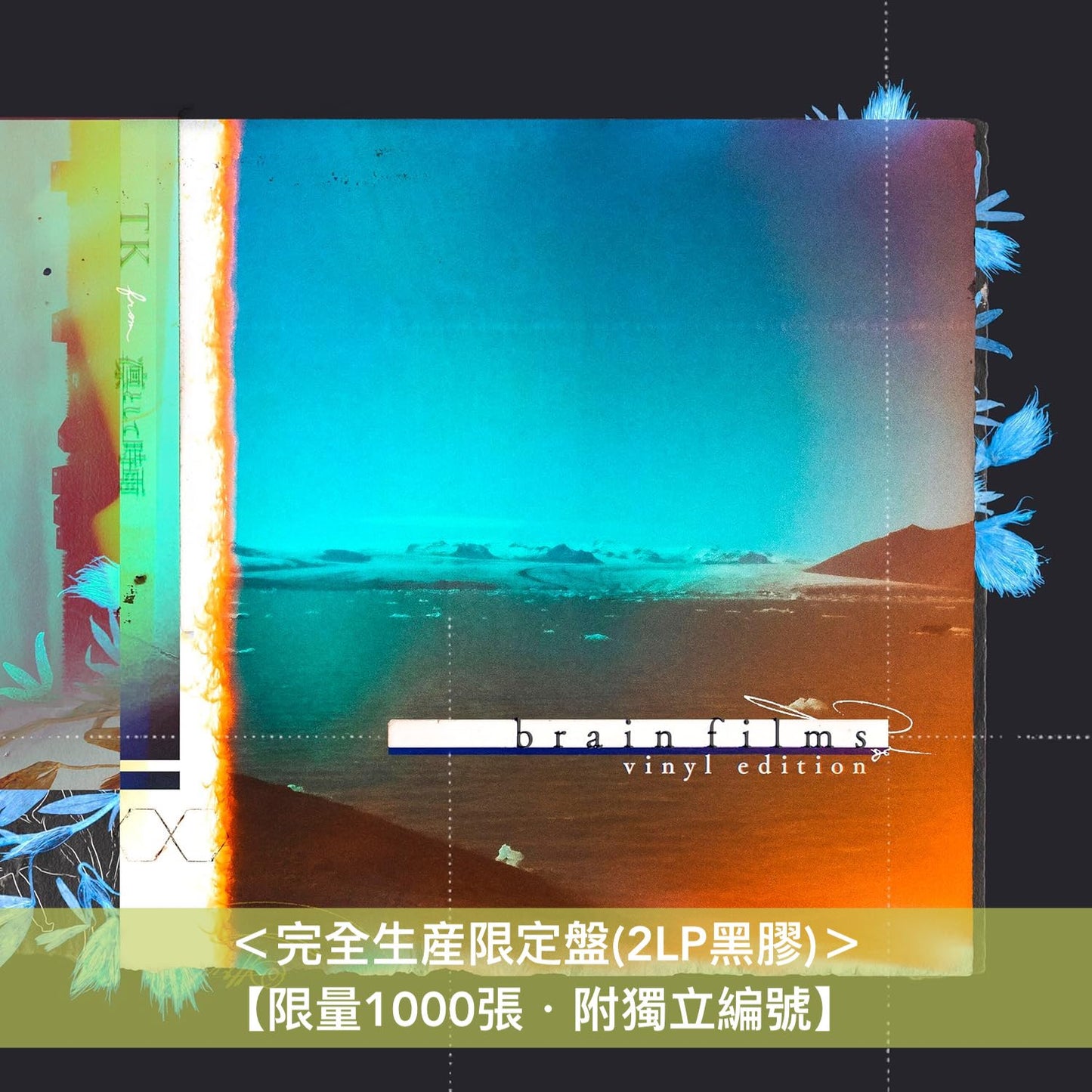 TK from 凛として時雨 首張純音樂集黑膠《brain films -vinyl edition-》＜完全生産限定盤(2LP黑膠)＞【限量1000張・附獨立編號】