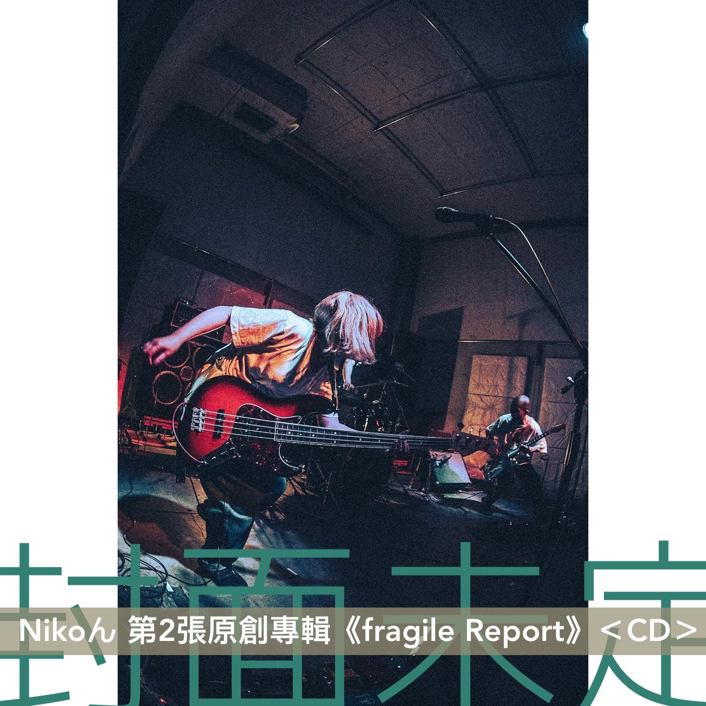 Nikoん 第1、2張原創專輯《public melodies》、《fragile Report》＜CD＞