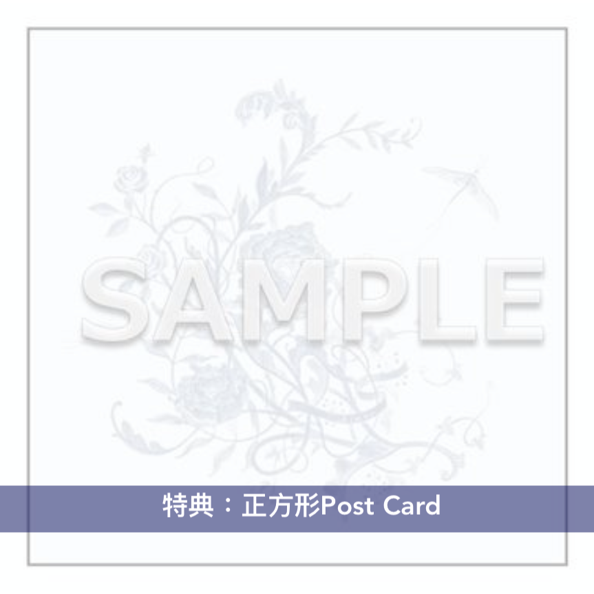 Aimer 第23張單曲CD《白色蜉蝣》日劇「大奥Season2」主題曲 ＜初回生産限定盤(CD+Blu-ray)／通常盤(CD)＞