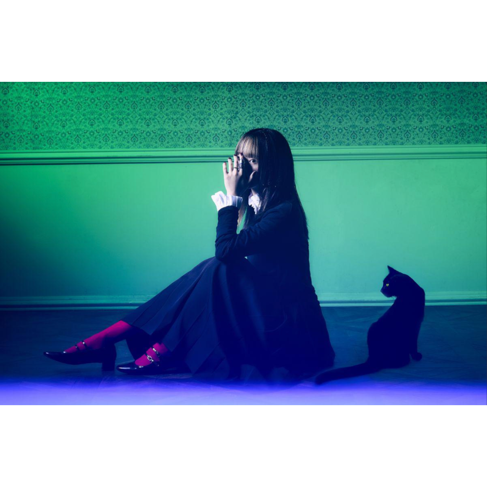 秘めごと(Himegoto) 首張原創專輯《くろいもり》＜初回生産限定盤(CD)・繪本包裝＞