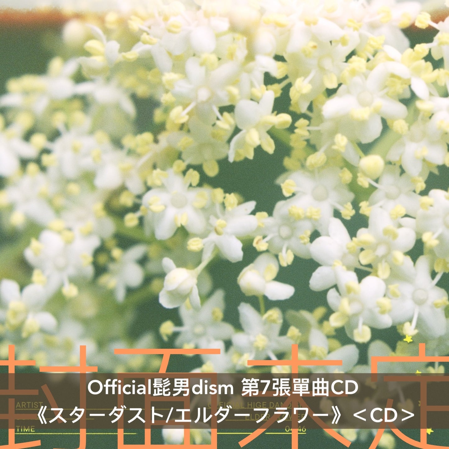 Official髭男dism 第7張單曲CD《スターダスト/エルダーフラワー》＜CD＋Blu-ray／CD＋DVD／CD＞